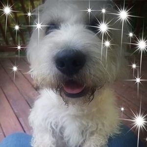 Meet your Posher, Rita